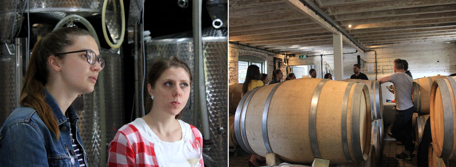 Tasting the 2013 Classic Cuvée in the tank room. Barriques are used to ferment a proportion of the Chardonnay.